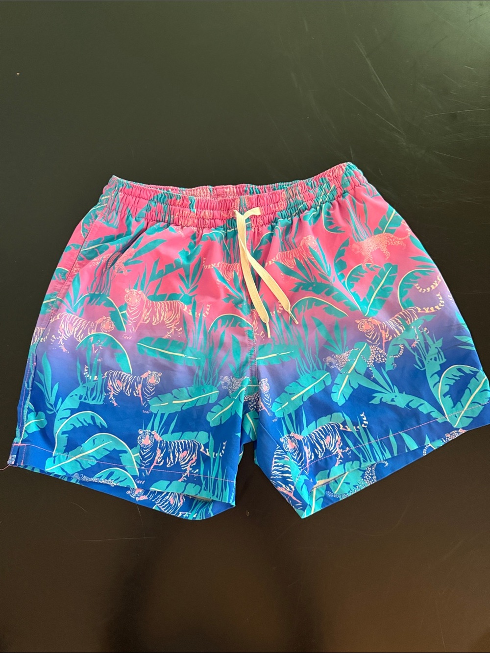 Chubbies The Hydrofoils Classic Swim Trunks‎ Mens Large Blue & Pink Inseam 5.5"